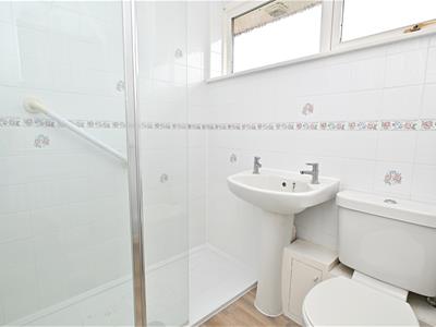 Picture 13